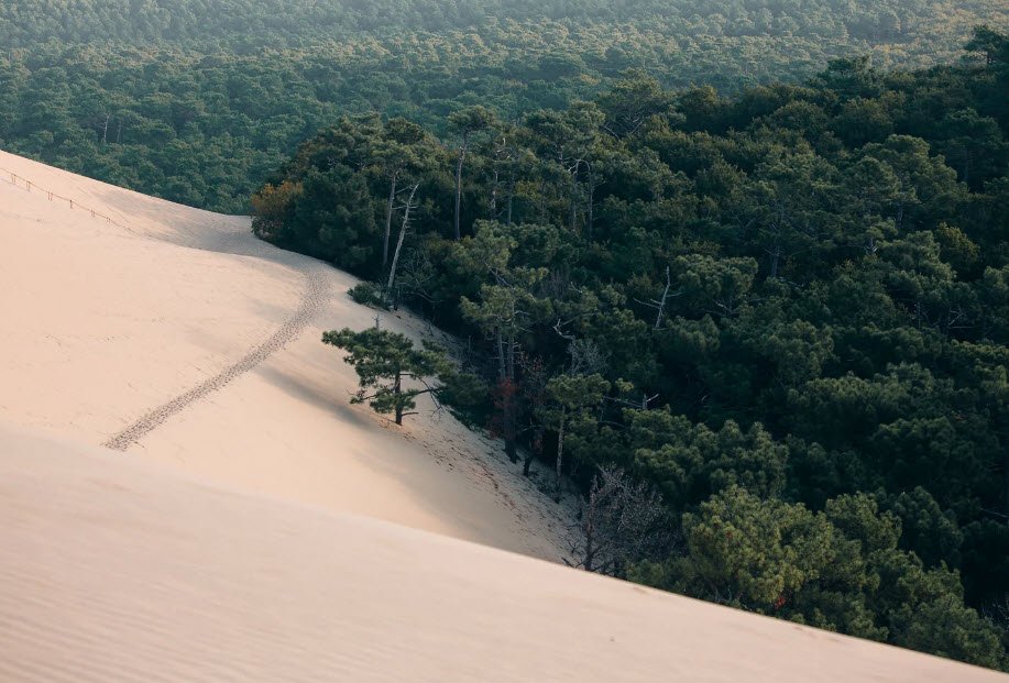 Dune of Pilat (Dune du Pilat), Arcachon Bay, Nouvelle-Aquitaine, France